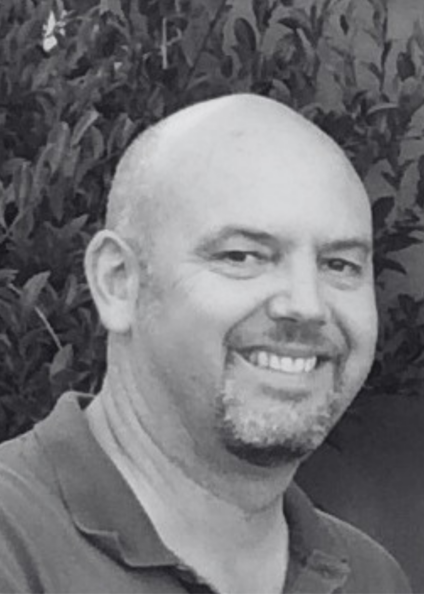 Rob Willcox